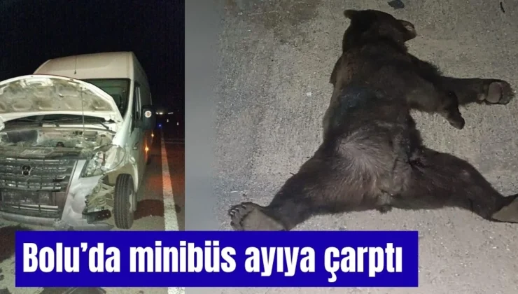 Bolu’da minibüs ayıya çarptı